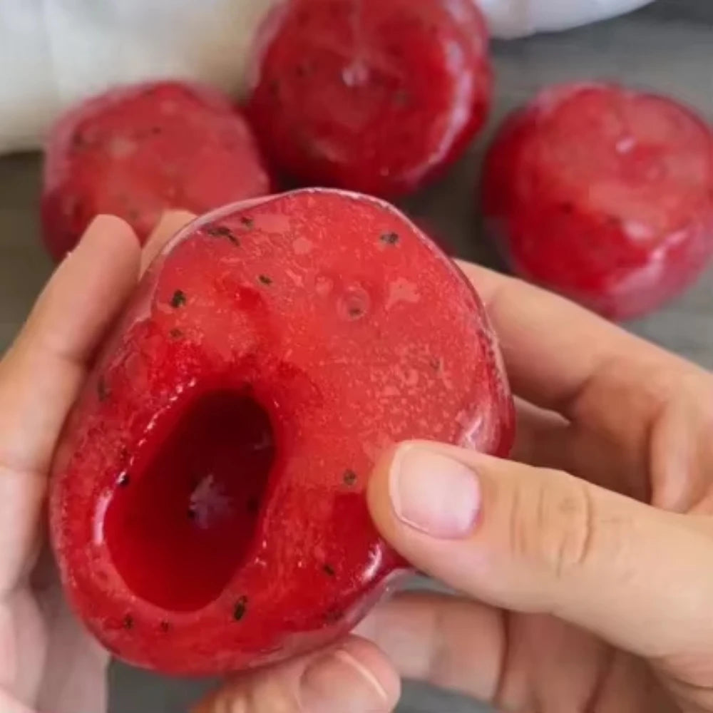 Watermelon Slushy Squishy