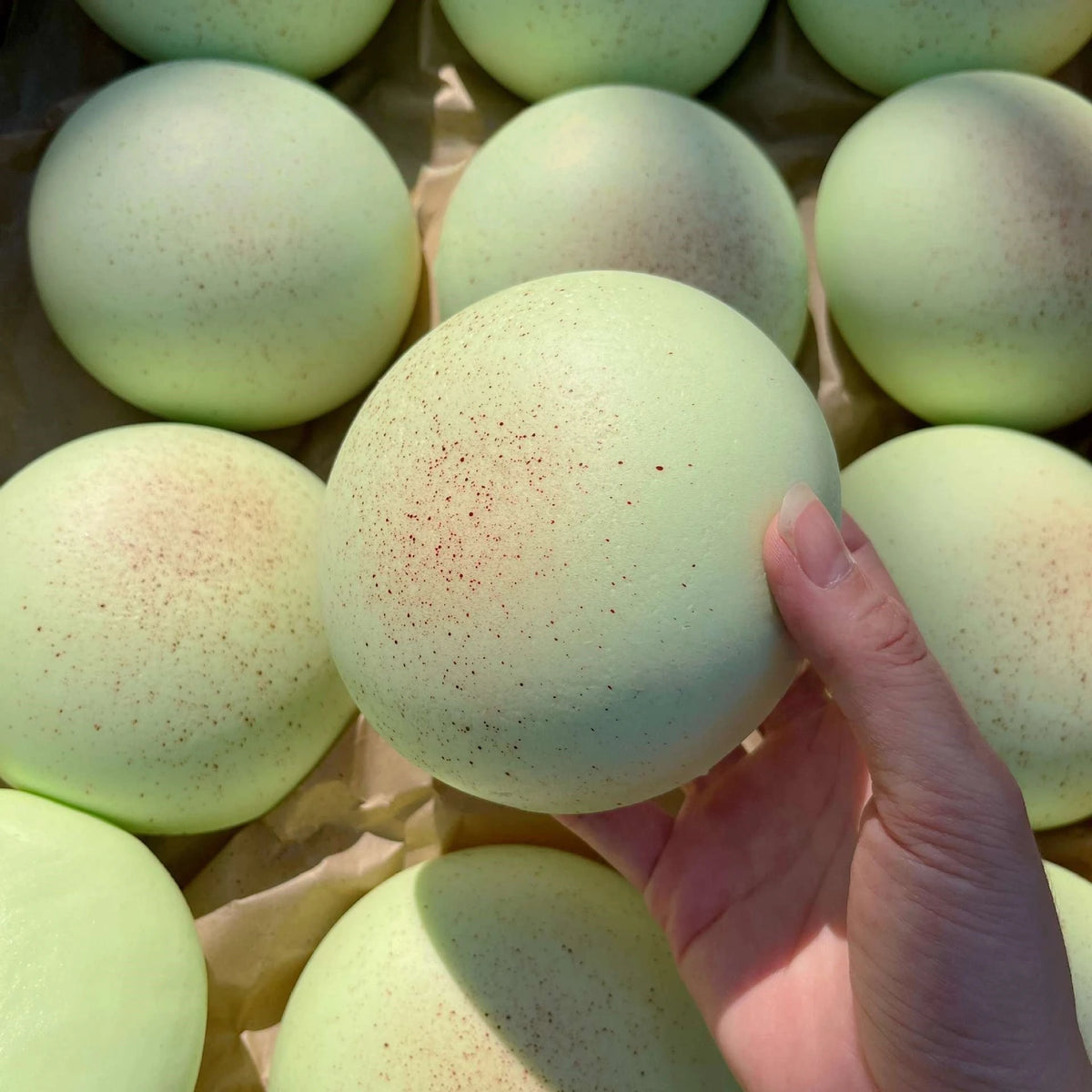 Squishy Daifuku Mochi