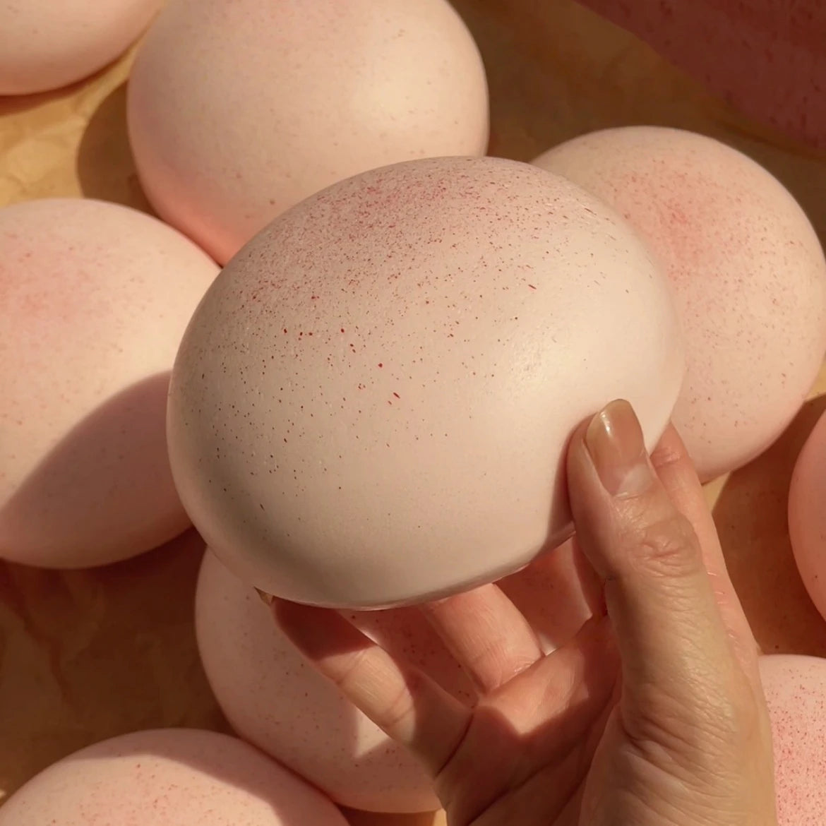 Squishy Daifuku Mochi